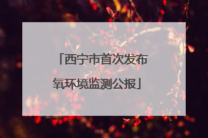 西宁市首次发布氧环境监测公报