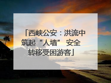 西峡公安：洪流中筑起“人墙” 安全转移受困游客