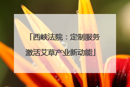 西峡法院：定制服务激活艾草产业新动能