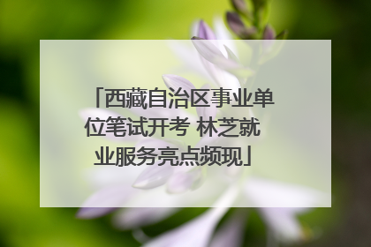西藏自治区事业单位笔试开考 林芝就业服务亮点频现