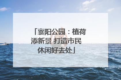 襄阳公园：植荷添新景 打造市民休闲好去处
