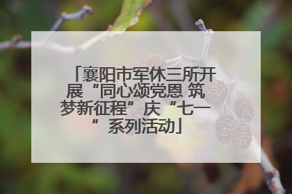 襄阳市军休三所开展“同心颂党恩 筑梦新征程”庆“七一”系列活动