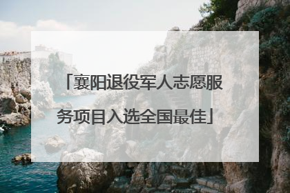 襄阳退役军人志愿服务项目入选全国最佳