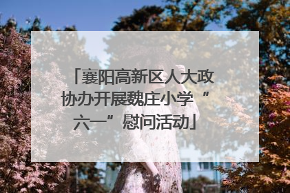 襄阳高新区人大政协办开展魏庄小学“六一”慰问活动
