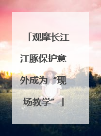 观摩长江江豚保护意外成为“现场教学”
