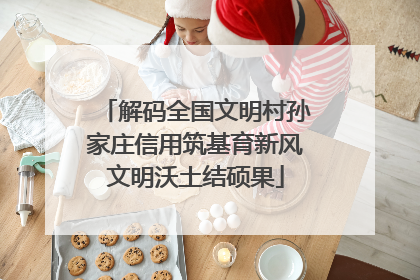 解码全国文明村孙家庄信用筑基育新风文明沃土结硕果