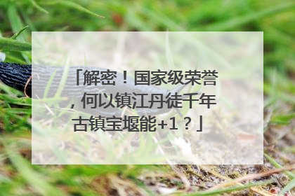 解密！国家级荣誉，何以镇江丹徒千年古镇宝堰能+1？