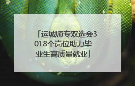 运城师专双选会3018个岗位助力毕业生高质量就业