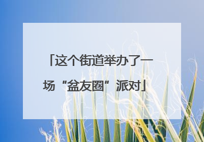 这个街道举办了一场“盆友圈”派对