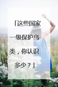 这些国家一级保护鸟类，你认识多少？