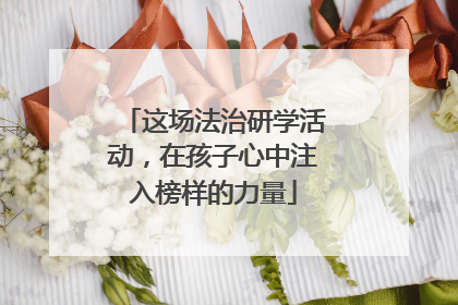 这场法治研学活动，在孩子心中注入榜样的力量