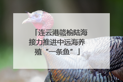 连云港赣榆陆海接力推进中远海养殖“一条鱼”