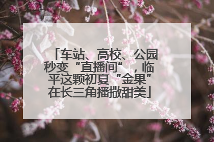 车站、高校、公园秒变“直播间”，临平这颗初夏“金果”在长三角播撒甜美