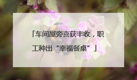 车间屋旁喜获丰收，职工种出“幸福餐桌”