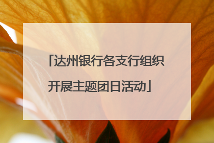 达州银行各支行组织开展主题团日活动