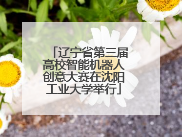 辽宁省第三届高校智能机器人创意大赛在沈阳工业大学举行
