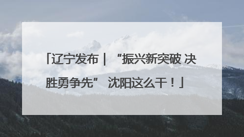 辽宁发布｜“振兴新突破 决胜勇争先” 沈阳这么干！