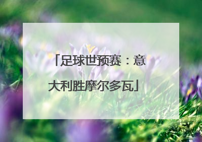 足球世预赛：意大利胜摩尔多瓦