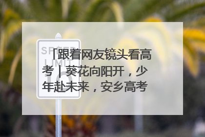 跟着网友镜头看高考｜葵花向阳开，少年赴未来，安乡高考首日的希望图景