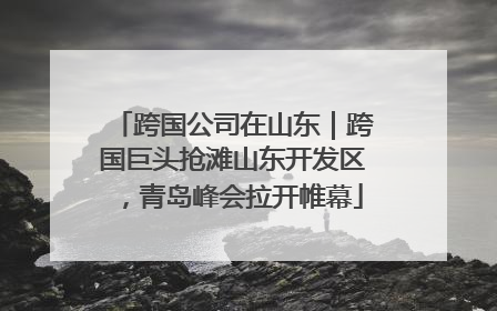 跨国公司在山东｜跨国巨头抢滩山东开发区，青岛峰会拉开帷幕