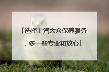 选择上汽大众保养服务，多一些专业和放心
