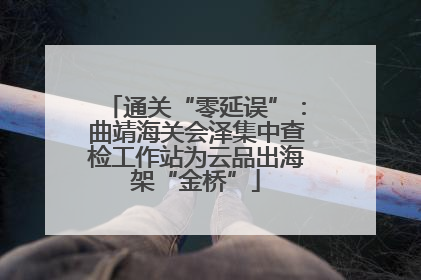 通关“零延误”：曲靖海关会泽集中查检工作站为云品出海架“金桥”