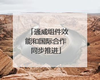 通威组件效能和国际合作同步推进
