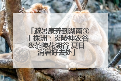 避暑康养到湖南③丨株洲：炎陵神农谷&茶陵花湖谷 夏日消暑好去处