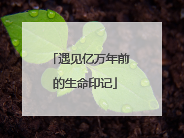 遇见亿万年前的生命印记
