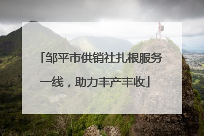 邹平市供销社扎根服务一线，助力丰产丰收