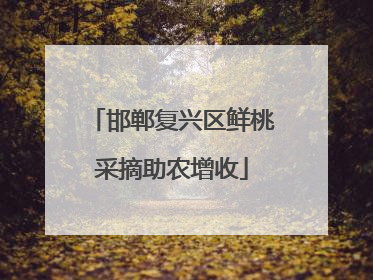 邯郸复兴区鲜桃采摘助农增收