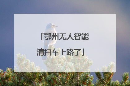 鄂州无人智能清扫车上路了