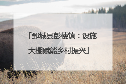 鄄城县彭楼镇：设施大棚赋能乡村振兴