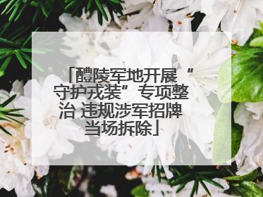 醴陵军地开展“守护戎装”专项整治 违规涉军招牌当场拆除