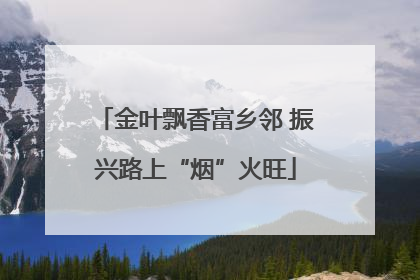 金叶飘香富乡邻 振兴路上“烟”火旺