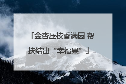 金杏压枝香满园 帮扶结出“幸福果”