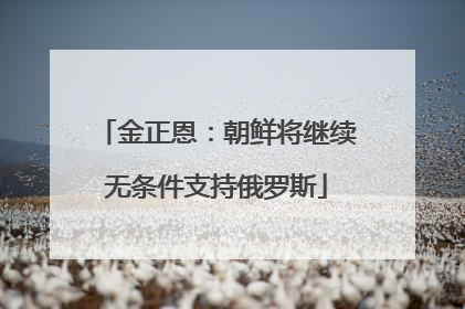 金正恩：朝鲜将继续无条件支持俄罗斯