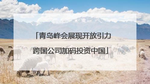 青岛峰会展现开放引力 跨国公司加码投资中国