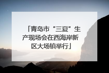青岛市“三夏”生产现场会在西海岸新区大场镇举行