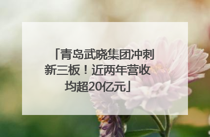 青岛武晓集团冲刺新三板！近两年营收均超20亿元