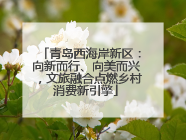 青岛西海岸新区：向新而行、向美而兴，文旅融合点燃乡村消费新引擎