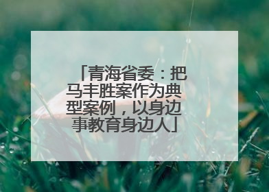 青海省委：把马丰胜案作为典型案例，以身边事教育身边人