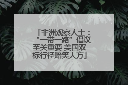 非洲观察人士：“一带一路”倡议至关重要 美国双标行径贻笑大方