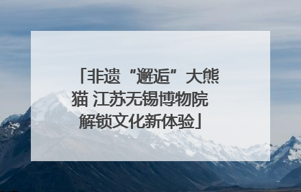 非遗“邂逅”大熊猫 江苏无锡博物院解锁文化新体验