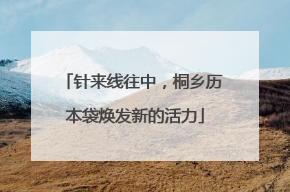 针来线往中，桐乡历本袋焕发新的活力
