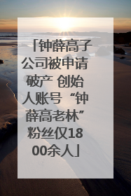 钟薛高子公司被申请破产 创始人账号“钟薛高老林”粉丝仅1800余人