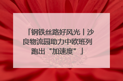 钢铁丝路好风光丨沙良物流园助力中欧班列跑出“加速度”