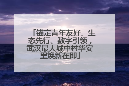 锚定青年友好、生态先行、数字引领，武汉最大城中村华安里焕新在即