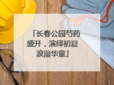 长春公园芍药盛开，演绎初夏浪漫华章
