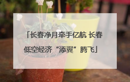长春净月牵手亿航 长春低空经济“添翼”腾飞